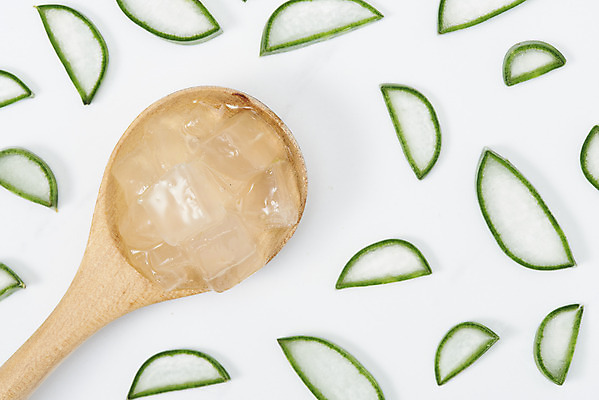 포토 JPG 스튜디오촬영 단면 실내 사람없음 하이앵글 건강관리 여러개 화장품 신선 큐브 오브젝트 흰배경 유기농 나무숟가락 다육식물 알로에 플랫레이 사포나리아 알로에젤 국내포토 식물 웰빙 뷰포인트 다수 백그라운드 건강 관리 내부 뷰티 숟가락 흰색 플랫 젤 파일형식