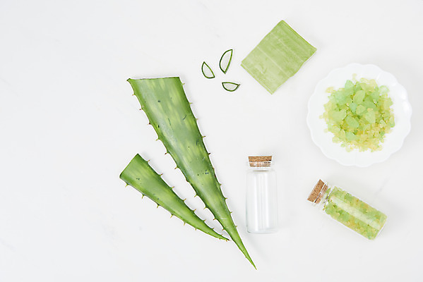 포토 JPG 스튜디오촬영 단면 실내 사람없음 하이앵글 건강관리 여러개 신선 가시 오브젝트 흰배경 유기농 날카로움 공병 다육식물 알로에 입욕제 플랫레이 사포나리아 국내포토 식물 웰빙 뷰포인트 다수 백그라운드 건강 관리 내부 흰색 플랫 병_담는 파일형식