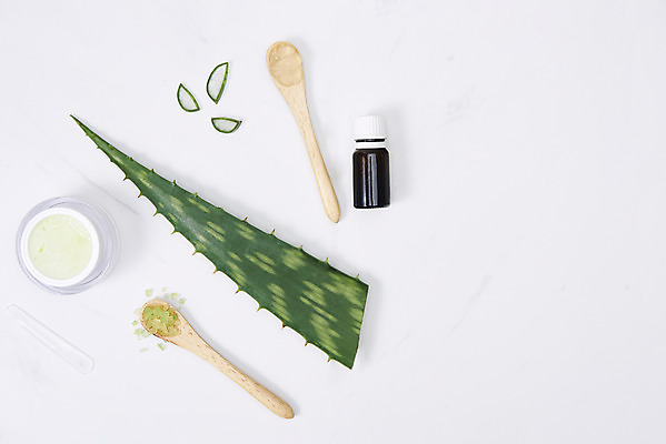 포토 JPG 스튜디오촬영 단면 유리병 실내 사람없음 하이앵글 건강관리 여러개 화장품 신선 가시 오브젝트 흰배경 유기농 날카로움 아로마 나무스푼 다육식물 알로에 플랫레이 아로마오일 사포나리아 알로에젤 국내포토 식물 웰빙 뷰포인트 다수 백그라운드 병_용기 건강 관리 내부 뷰티 흰색 플랫 오일_화장품 나무숟가락 젤 파일형식