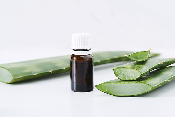 포토 JPG 스튜디오촬영 단면 유리병 실내 사람없음 건강관리 여러개 화장품 신선 가시 오브젝트 흰배경 유기농 날카로움 아로마 다육식물 알로에 아로마오일 사포나리아 국내포토 식물 웰빙 다수 백그라운드 병_용기 건강 관리 내부 뷰티 흰색 오일_화장품 파일형식