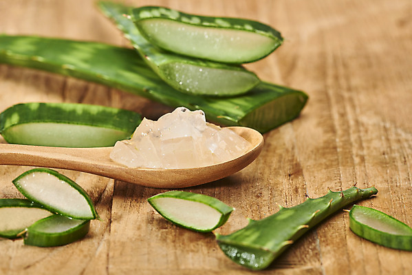 포토 JPG 스튜디오촬영 단면 실내 사람없음 건강관리 여러개 화장품 신선 오브젝트 유기농 나무숟가락 다육식물 알로에 갈색배경 사포나리아 알로에젤 나무배경 국내포토 식물 웰빙 다수 백그라운드 건강 관리 내부 뷰티 갈색 숟가락 젤 파일형식