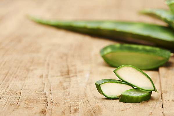 포토 JPG 스튜디오촬영 단면 실내 근접촬영 사람없음 아웃포커스 건강관리 여러개 신선 오브젝트 유기농 다육식물 알로에 갈색배경 사포나리아 나무배경 국내포토 식물 웰빙 뷰포인트 다수 백그라운드 촬영기법 건강 관리 내부 갈색 파일형식