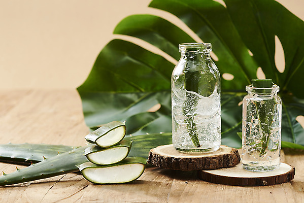 포토 JPG 스튜디오촬영 단면 실내 사람없음 건강관리 여러개 화장품 신선 가시 오브젝트 유기농 날카로움 다육식물 몬스테라 알로에 갈색배경 사포나리아 알로에젤 나무배경 국내포토 식물 웰빙 다수 백그라운드 건강 관리 내부 뷰티 갈색 젤 파일형식