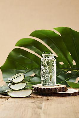 포토 JPG 스튜디오촬영 단면 실내 사람없음 건강관리 여러개 화장품 신선 오브젝트 유기농 다육식물 몬스테라 알로에 갈색배경 사포나리아 알로에젤 나무배경 국내포토 식물 웰빙 다수 백그라운드 건강 관리 내부 뷰티 갈색 젤 파일형식