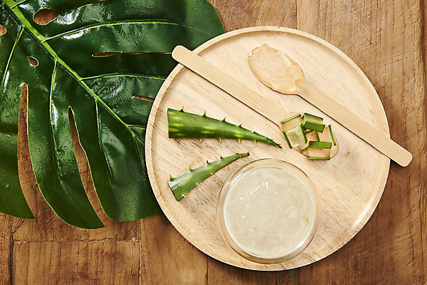 포토 JPG 스튜디오촬영 단면 실내 사람없음 하이앵글 건강관리 화장품 신선 가시 오브젝트 유기농 날카로움 나무숟가락 나무쟁반 다육식물 몬스테라 알로에 플랫레이 갈색배경 사포나리아 알로에젤 나무배경 국내포토 식물 웰빙 뷰포인트 백그라운드 쟁반 건강 관리 내부 목재 뷰티 갈색 숟가락 플랫 젤 파일형식