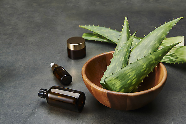 포토 JPG 스튜디오촬영 검은배경 유리병 실내 사람없음 건강관리 여러개 화장품 신선 오브젝트 유기농 아로마 공병 나무접시 다육식물 알로에 사포나리아 국내포토 식물 접시 웰빙 다수 백그라운드 병_용기 건강 관리 내부 뷰티 검은색 병_담는 파일형식