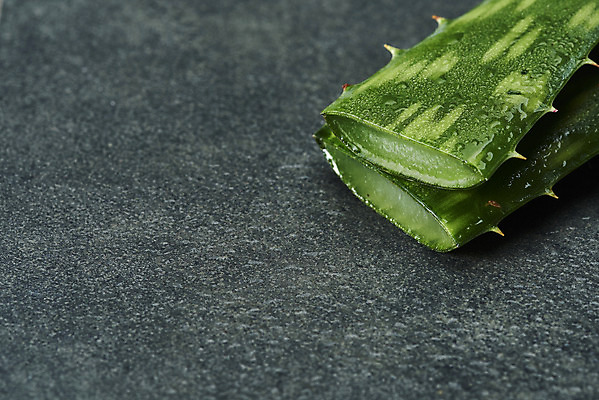 포토 JPG 스튜디오촬영 검은배경 단면 실내 사람없음 건강관리 두개 물방울 신선 가시 오브젝트 유기농 날카로움 다육식물 알로에 사포나리아 국내포토 식물 웰빙 백그라운드 2 건강 관리 내부 검은색 파일형식