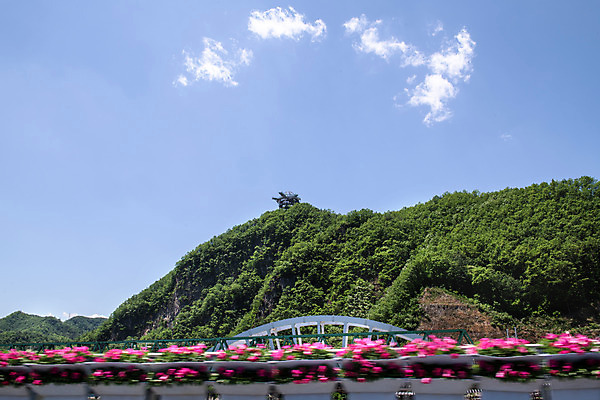 포토 JPG 주간 구름 여행 하늘 풍경 사람없음 야외 여름 관광지 국내여행 남한강 단양 명승지 상진대교 국내포토 자연요소 계절 강 다리_건축물 충청북도 파일형식