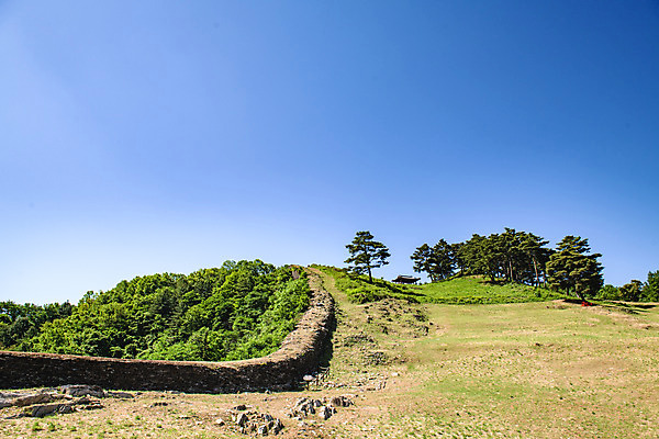포토 JPG 주간 나무 여행 하늘 풍경 사람없음 야외 여름 관광지 국내여행 단양 명승지 온달산성 석축산성 국내포토 자연요소 식물 계절 충청북도 산성 파일형식