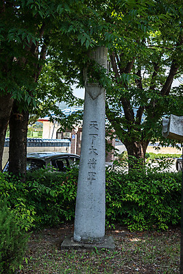 포토 JPG 주간 나무 여행 풍경 사람없음 야외 여름 관광지 장승 국내여행 명승지 제천 지하여장군 국내포토 자연요소 식물 계절 충청북도 파일형식