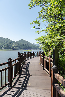 포토 JPG 주간 나무 여행 풍경 사람없음 야외 여름 관광지 데크 국내여행 남한강 단양 명승지 상진대교 잔도길 국내포토 자연요소 식물 계절 길 강 다리_건축물 충청북도 파일형식