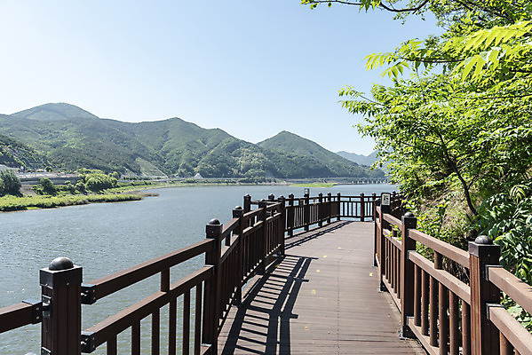 포토 JPG 주간 나무 여행 풍경 사람없음 야외 여름 관광지 데크 국내여행 남한강 단양 명승지 상진대교 잔도길 국내포토 자연요소 식물 계절 길 강 다리_건축물 충청북도 파일형식