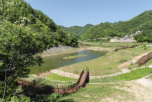 포토 JPG 주간 나무 여행 풍경 사람없음 야외 여름 관광지 국내여행 남한강 단양 명승지 잔도길 수변공원 국내포토 자연요소 식물 계절 공원 길 강 충청북도 파일형식