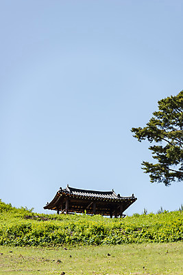 포토 JPG 주간 나무 여행 하늘 풍경 사람없음 야외 여름 관광지 정자 국내여행 단양 명승지 온달산성 석축산성 국내포토 자연요소 식물 건축물 계절 충청북도 산성 파일형식