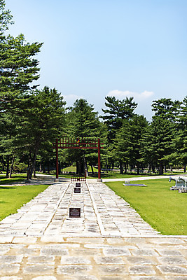 포토 JPG 주간 나무 한국전통 여행 유적지 풍경 사람없음 야외 여름 관광지 세계문화유산 문화재 역사 한국사 조선시대 명성황후 왕릉 조선왕릉 홍살문 홍유릉 홍릉 고종 을미사변 국내포토 자연요소 식물 전통 계절 고건축 한국 왕 전통문 남양주 파일형식