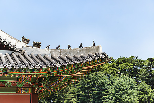 포토 JPG 주간 한국전통 여행 유적지 하늘 지붕 풍경 사람없음 야외 여름 관광지 세계문화유산 문화재 역사 한국사 조선시대 명성황후 왕릉 잡상 조선왕릉 홍유릉 홍릉 고종 을미사변 국내포토 자연요소 전통 계절 고건축 한국 기와 왕 남양주 파일형식