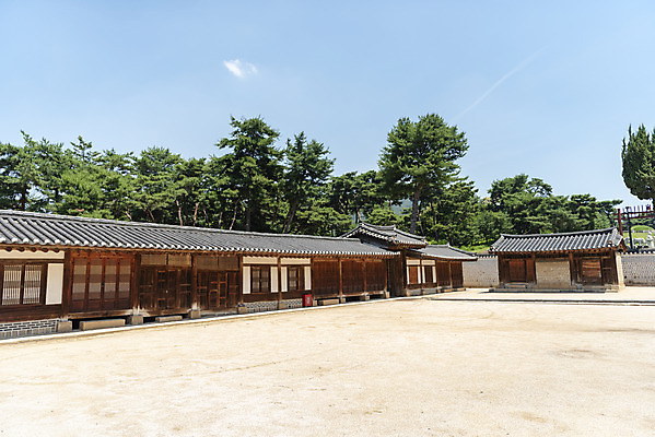 포토 JPG 주간 나무 한국전통 여행 유적지 풍경 사람없음 야외 여름 관광지 세계문화유산 문화재 역사 한국사 조선시대 왕릉 재실 조선왕릉 홍유릉 순종 고종 국내포토 자연요소 식물 전통 계절 고건축 한국 왕 남양주 파일형식