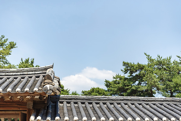 포토 JPG 주간 나무 한국전통 여행 유적지 풍경 사람없음 야외 여름 관광지 세계문화유산 문화재 역사 한국사 조선시대 왕릉 재실 조선왕릉 홍유릉 순종 고종 국내포토 자연요소 식물 전통 계절 고건축 한국 왕 남양주 파일형식