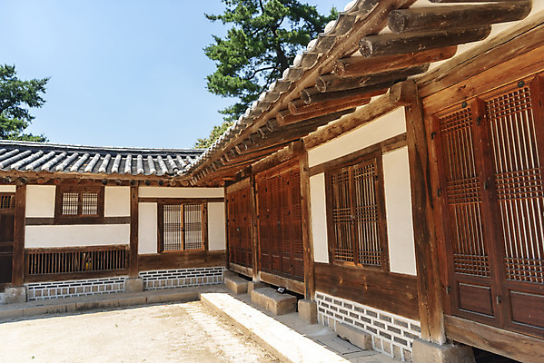 포토 JPG 주간 나무 한국전통 여행 유적지 풍경 사람없음 야외 여름 관광지 세계문화유산 문화재 역사 한국사 조선시대 왕릉 재실 조선왕릉 홍유릉 순종 고종 국내포토 자연요소 식물 전통 계절 고건축 한국 왕 남양주 파일형식