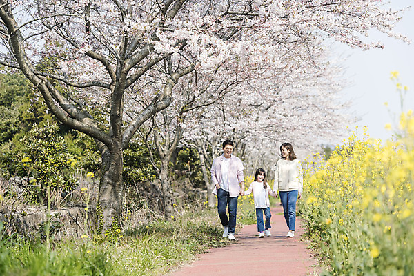 포토 JPG 주간 전신 여자 남자 딸 행복 어린이 가족 엄마 가족여행 미소 성인 야외 앞모습 세명 30대 제주도 걷기 손잡기 맑음 화목 봄 한국인 벚꽃 가족라이프 아빠 핵가족 즐거움 유채 봄여행 정석항공장 국내포토 자연요소 라이프스타일 계절 꽃 감정 길 뷰포인트 여행 컨셉 관계 모션 날씨 한국 표정 사람 동양인 장년 파일형식