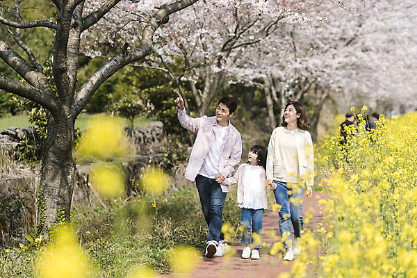 포토 JPG 주간 전신 응시 여자 남자 딸 행복 어린이 가족 엄마 가족여행 미소 성인 야외 앞모습 세명 30대 제주도 걷기 손잡기 맑음 화목 봄 한국인 벚꽃 가리킴 가족라이프 아빠 핵가족 즐거움 유채 봄여행 정석항공장 국내포토 자연요소 라이프스타일 시선 계절 꽃 감정 길 뷰포인트 여행 컨셉 관계 모션 날씨 한국 표정 사람 동양인 손짓 장년 파일형식