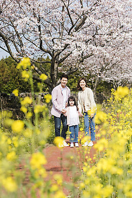 포토 JPG 주간 전신 여자 남자 딸 행복 어린이 가족 엄마 가족여행 서기 미소 성인 야외 앞모습 세명 30대 제주도 손잡기 맑음 화목 봄 한국인 벚꽃 가족라이프 아빠 핵가족 즐거움 유채 봄여행 정석항공장 국내포토 자연요소 라이프스타일 계절 꽃 감정 길 뷰포인트 여행 컨셉 관계 모션 날씨 한국 표정 사람 동양인 장년 파일형식