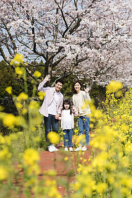 포토 JPG 주간 전신 여자 남자 딸 행복 어린이 가족 엄마 가족여행 서기 미소 성인 야외 앞모습 세명 30대 제주도 손잡기 맑음 화목 봄 한국인 벚꽃 가족라이프 아빠 핵가족 즐거움 유채 손인사 봄여행 정석항공장 국내포토 자연요소 라이프스타일 계절 꽃 감정 길 뷰포인트 여행 컨셉 관계 모션 날씨 한국 표정 사람 동양인 장년 인사 파일형식