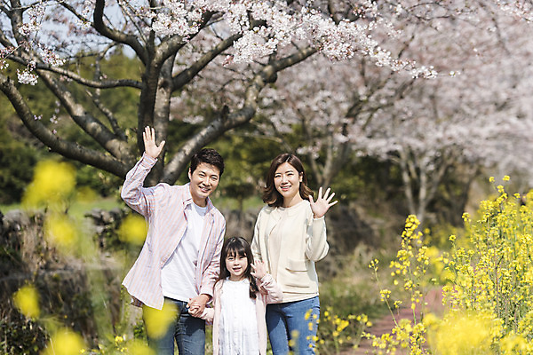 포토 JPG 주간 여자 남자 딸 행복 어린이 가족 엄마 가족여행 서기 미소 상반신 성인 야외 앞모습 세명 30대 제주도 손잡기 맑음 화목 봄 한국인 벚꽃 가족라이프 아빠 핵가족 즐거움 유채 손인사 봄여행 정석항공장 국내포토 자연요소 라이프스타일 계절 꽃 감정 길 뷰포인트 여행 컨셉 관계 모션 날씨 한국 표정 사람 동양인 장년 인사 파일형식