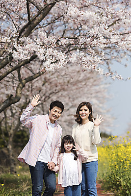 포토 JPG 주간 여자 남자 딸 행복 어린이 가족 엄마 가족여행 서기 미소 상반신 성인 야외 앞모습 세명 30대 제주도 손잡기 맑음 화목 봄 한국인 벚꽃 가족라이프 아빠 핵가족 즐거움 유채 손인사 봄여행 정석항공장 국내포토 자연요소 라이프스타일 계절 꽃 감정 길 뷰포인트 여행 컨셉 관계 모션 날씨 한국 표정 사람 동양인 장년 인사 파일형식