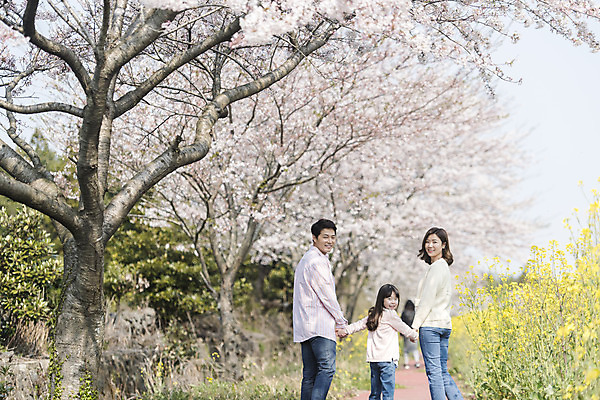 포토 JPG 주간 여자 남자 딸 행복 어린이 가족 엄마 가족여행 서기 상반신 성인 야외 뒷모습 세명 30대 제주도 손잡기 맑음 화목 봄 한국인 벚꽃 가족라이프 뒤돌아보기 아빠 핵가족 즐거움 유채 봄여행 정석항공장 국내포토 자연요소 라이프스타일 계절 꽃 감정 길 뷰포인트 여행 컨셉 관계 모션 날씨 한국 사람 동양인 장년 파일형식