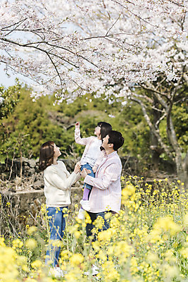 포토 JPG 주간 전신 응시 여자 남자 딸 행복 어린이 가족 안기 엄마 가족여행 서기 미소 성인 야외 앞모습 옆모습 세명 30대 제주도 맑음 화목 봄 한국인 벚꽃 가족라이프 아빠 핵가족 즐거움 유채 봄여행 정석항공장 국내포토 자연요소 라이프스타일 시선 계절 꽃 감정 길 뷰포인트 여행 컨셉 관계 모션 날씨 한국 표정 사람 동양인 장년 파일형식