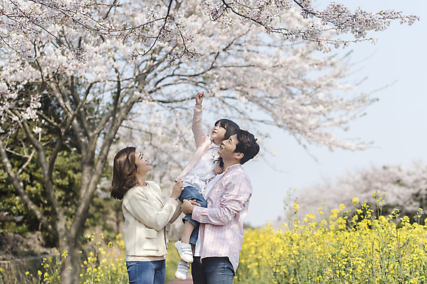 포토 JPG 주간 전신 여자 남자 딸 행복 어린이 가족 안기 엄마 가족여행 서기 미소 상반신 성인 야외 옆모습 세명 30대 제주도 맑음 화목 봄 한국인 벚꽃 가족라이프 아빠 핵가족 즐거움 유채 손뻗기 봄여행 정석항공장 국내포토 자연요소 라이프스타일 계절 꽃 감정 길 뷰포인트 여행 컨셉 관계 모션 날씨 한국 표정 사람 동양인 장년 파일형식