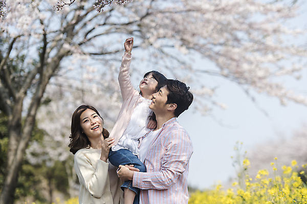포토 JPG 주간 여자 남자 딸 행복 어린이 가족 안기 엄마 가족여행 서기 미소 상반신 성인 야외 앞모습 옆모습 세명 30대 제주도 맑음 화목 봄 한국인 벚꽃 가족라이프 아빠 핵가족 즐거움 유채 손뻗기 봄여행 정석항공장 국내포토 자연요소 라이프스타일 계절 꽃 감정 길 뷰포인트 여행 컨셉 관계 모션 날씨 한국 표정 사람 동양인 장년 파일형식