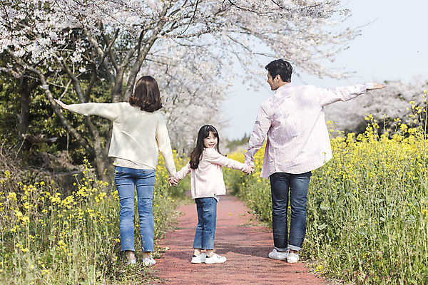 포토 JPG 주간 전신 여자 남자 딸 행복 어린이 가족 엄마 팔벌리기 가족여행 서기 성인 야외 뒷모습 세명 30대 제주도 손잡기 맑음 화목 봄 한국인 벚꽃 가족라이프 뒤돌아보기 아빠 핵가족 즐거움 유채 봄여행 정석항공장 국내포토 자연요소 라이프스타일 계절 꽃 감정 길 뷰포인트 여행 컨셉 관계 모션 날씨 한국 사람 동양인 장년 파일형식