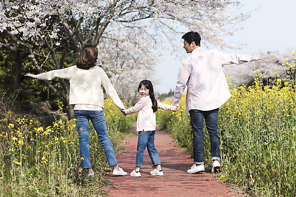 포토 JPG 주간 전신 여자 남자 딸 행복 어린이 가족 엄마 팔벌리기 가족여행 서기 성인 야외 뒷모습 세명 30대 제주도 손잡기 맑음 화목 봄 한국인 벚꽃 가족라이프 뒤돌아보기 아빠 핵가족 즐거움 유채 봄여행 정석항공장 국내포토 자연요소 라이프스타일 계절 꽃 감정 길 뷰포인트 여행 컨셉 관계 모션 날씨 한국 사람 동양인 장년 파일형식
