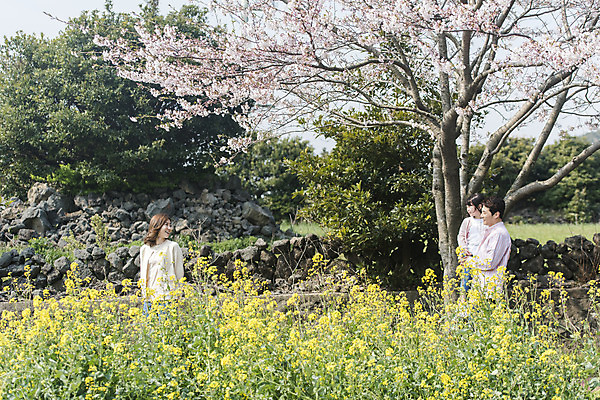 포토 JPG 주간 여자 남자 딸 행복 어린이 가족 안기 엄마 가족여행 서기 미소 상반신 성인 야외 옆모습 세명 30대 제주도 걷기 맑음 화목 봄 한국인 벚꽃 가족라이프 아빠 핵가족 즐거움 유채 봄여행 정석항공장 국내포토 자연요소 라이프스타일 계절 꽃 감정 길 뷰포인트 여행 컨셉 관계 모션 날씨 한국 표정 사람 동양인 장년 파일형식