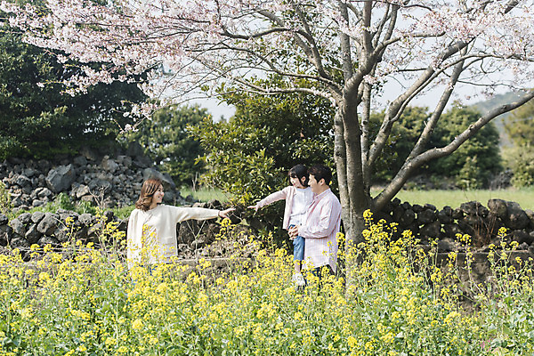 포토 JPG 주간 여자 남자 딸 행복 어린이 가족 안기 엄마 가족여행 서기 미소 상반신 성인 야외 옆모습 세명 30대 제주도 맑음 화목 봄 한국인 벚꽃 가족라이프 아빠 핵가족 즐거움 유채 손뻗기 봄여행 정석항공장 국내포토 자연요소 라이프스타일 계절 꽃 감정 길 뷰포인트 여행 컨셉 관계 모션 날씨 한국 표정 사람 동양인 장년 파일형식