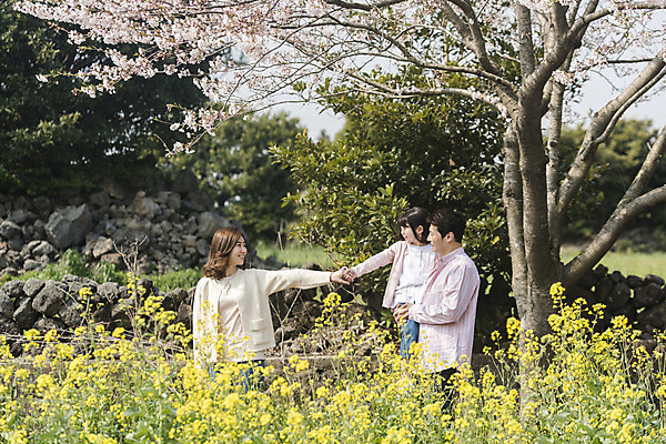 포토 JPG 주간 여자 남자 딸 행복 어린이 가족 안기 엄마 가족여행 서기 미소 상반신 성인 야외 옆모습 세명 30대 제주도 손잡기 맑음 화목 봄 한국인 벚꽃 가족라이프 아빠 핵가족 즐거움 유채 봄여행 정석항공장 국내포토 자연요소 라이프스타일 계절 꽃 감정 길 뷰포인트 여행 컨셉 관계 모션 날씨 한국 표정 사람 동양인 장년 파일형식