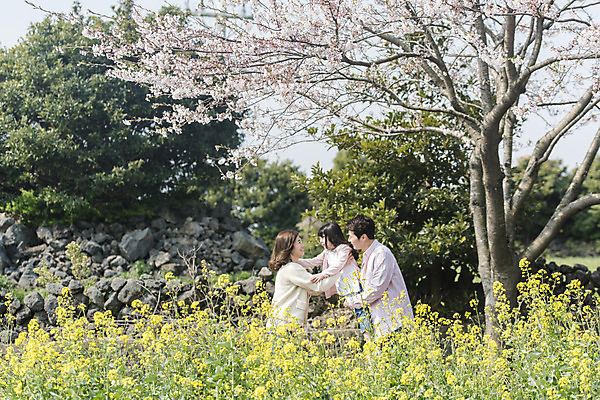 포토 JPG 주간 여자 남자 딸 행복 어린이 가족 안기 엄마 가족여행 서기 미소 상반신 성인 야외 옆모습 세명 30대 제주도 맑음 화목 봄 한국인 벚꽃 가족라이프 아빠 핵가족 즐거움 유채 봄여행 정석항공장 국내포토 자연요소 라이프스타일 계절 꽃 감정 길 뷰포인트 여행 컨셉 관계 모션 날씨 한국 표정 사람 동양인 장년 파일형식
