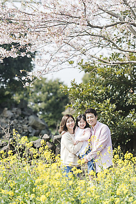 포토 JPG 주간 여자 남자 딸 행복 어린이 가족 안기 엄마 가족여행 서기 미소 상반신 성인 야외 앞모습 옆모습 세명 30대 제주도 맑음 화목 봄 한국인 벚꽃 가족라이프 아빠 핵가족 즐거움 유채 봄여행 정석항공장 국내포토 자연요소 라이프스타일 계절 꽃 감정 길 뷰포인트 여행 컨셉 관계 모션 날씨 한국 표정 사람 동양인 장년 파일형식