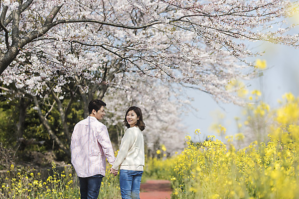 포토 JPG 주간 부부 커플 여자 남자 행복 가족 가족여행 서기 상반신 성인 야외 두명 뒷모습 30대 제주도 손잡기 맑음 화목 봄 한국인 벚꽃 가족라이프 뒤돌아보기 즐거움 유채 봄여행 성인만 정석항공장 국내포토 자연요소 라이프스타일 계절 꽃 감정 길 뷰포인트 여행 컨셉 관계 모션 날씨 한국 사람 동양인 장년 파일형식