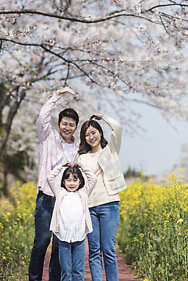 포토 JPG 주간 여자 남자 딸 행복 어린이 가족 엄마 가족여행 서기 미소 상반신 성인 야외 앞모습 세명 30대 제주도 맑음 화목 봄 한국인 벚꽃 가족라이프 아빠 핵가족 즐거움 유채 손하트 봄여행 정석항공장 국내포토 자연요소 라이프스타일 계절 꽃 감정 길 뷰포인트 여행 컨셉 관계 모션 날씨 한국 표정 사람 동양인 손짓 장년 파일형식