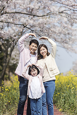 포토 JPG 주간 여자 남자 딸 행복 어린이 가족 엄마 가족여행 서기 미소 상반신 성인 야외 앞모습 세명 30대 제주도 맑음 화목 봄 한국인 벚꽃 가족라이프 아빠 핵가족 즐거움 유채 손하트 봄여행 정석항공장 국내포토 자연요소 라이프스타일 계절 꽃 감정 길 뷰포인트 여행 컨셉 관계 모션 날씨 한국 표정 사람 동양인 손짓 장년 파일형식