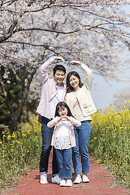 포토 JPG 주간 전신 여자 남자 딸 행복 어린이 가족 엄마 가족여행 서기 미소 성인 야외 앞모습 세명 30대 제주도 맑음 화목 봄 한국인 벚꽃 가족라이프 아빠 핵가족 즐거움 유채 손하트 봄여행 정석항공장 국내포토 자연요소 라이프스타일 계절 꽃 감정 길 뷰포인트 여행 컨셉 관계 모션 날씨 한국 표정 사람 동양인 손짓 장년 파일형식