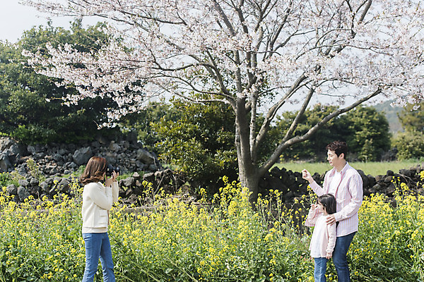 포토 JPG 주간 여자 남자 딸 행복 어린이 가족 엄마 가족여행 서기 미소 상반신 성인 야외 옆모습 세명 30대 제주도 카메라 맑음 사진촬영 화목 봄 한국인 벚꽃 가족라이프 아빠 핵가족 즐거움 유채 봄여행 정석항공장 국내포토 자연요소 라이프스타일 계절 꽃 감정 길 뷰포인트 여행 컨셉 관계 모션 날씨 한국 표정 사람 동양인 장년 전자제품 촬영 파일형식
