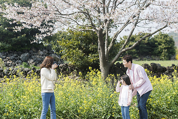 포토 JPG 주간 여자 남자 딸 행복 어린이 가족 엄마 가족여행 서기 미소 상반신 성인 야외 옆모습 세명 30대 제주도 카메라 맑음 사진촬영 화목 봄 한국인 벚꽃 가족라이프 아빠 핵가족 즐거움 유채 봄여행 정석항공장 국내포토 자연요소 라이프스타일 계절 꽃 감정 길 뷰포인트 여행 컨셉 관계 모션 날씨 한국 표정 사람 동양인 장년 전자제품 촬영 파일형식