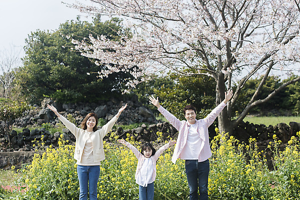 포토 JPG 주간 여자 남자 딸 행복 어린이 가족 엄마 팔벌리기 가족여행 서기 미소 상반신 성인 야외 앞모습 세명 30대 제주도 손들기 맑음 화목 봄 만세 한국인 벚꽃 가족라이프 아빠 핵가족 즐거움 유채 봄여행 정석항공장 국내포토 자연요소 라이프스타일 계절 꽃 감정 길 뷰포인트 여행 컨셉 관계 모션 날씨 한국 표정 사람 동양인 장년 파일형식