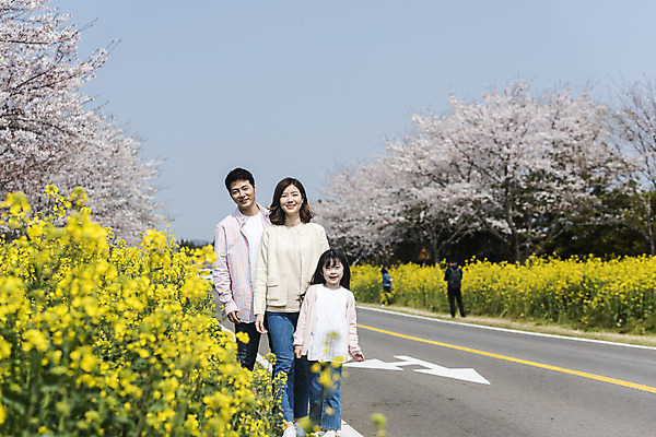 포토 JPG 주간 전신 여자 남자 딸 행복 어린이 가족 엄마 가족여행 미소 성인 야외 앞모습 세명 30대 제주도 걷기 맑음 화목 봄 한국인 벚꽃 가족라이프 아빠 핵가족 즐거움 유채 봄여행 정석항공장 국내포토 자연요소 라이프스타일 계절 꽃 감정 길 뷰포인트 여행 컨셉 관계 모션 날씨 한국 표정 사람 동양인 장년 파일형식