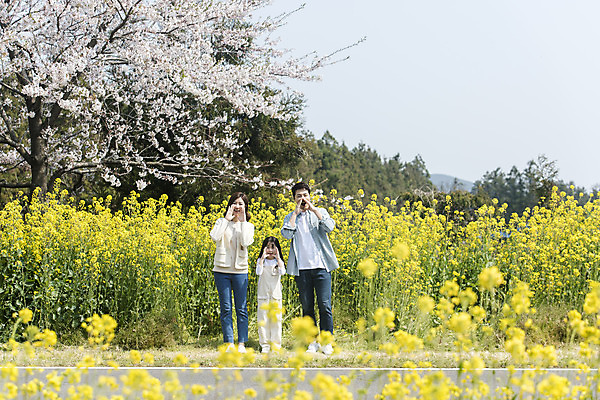 포토 JPG 주간 전신 여자 남자 딸 행복 어린이 가족 엄마 가족여행 서기 미소 성인 야외 앞모습 세명 30대 제주도 맑음 화목 외침 봄 한국인 벚꽃 가족라이프 아빠 핵가족 즐거움 유채 봄여행 정석항공장 국내포토 자연요소 라이프스타일 계절 꽃 감정 길 뷰포인트 여행 컨셉 관계 모션 날씨 한국 표정 사람 동양인 장년 소리 파일형식