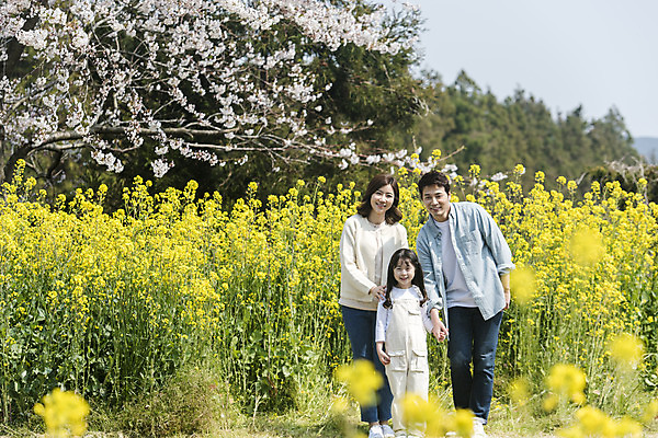 포토 JPG 주간 전신 여자 남자 딸 행복 어린이 가족 엄마 가족여행 서기 미소 성인 야외 앞모습 세명 30대 제주도 손잡기 맑음 화목 봄 한국인 벚꽃 가족라이프 아빠 핵가족 즐거움 유채 봄여행 정석항공장 국내포토 자연요소 라이프스타일 계절 꽃 감정 길 뷰포인트 여행 컨셉 관계 모션 날씨 한국 표정 사람 동양인 장년 파일형식
